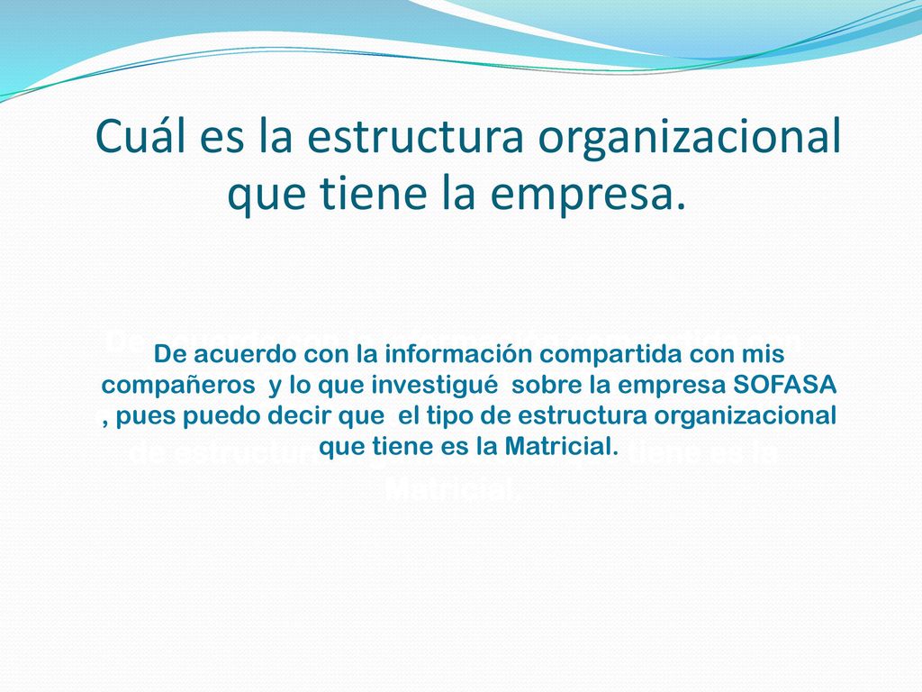 Cuál es la estructura organizacional que tiene la empresa.