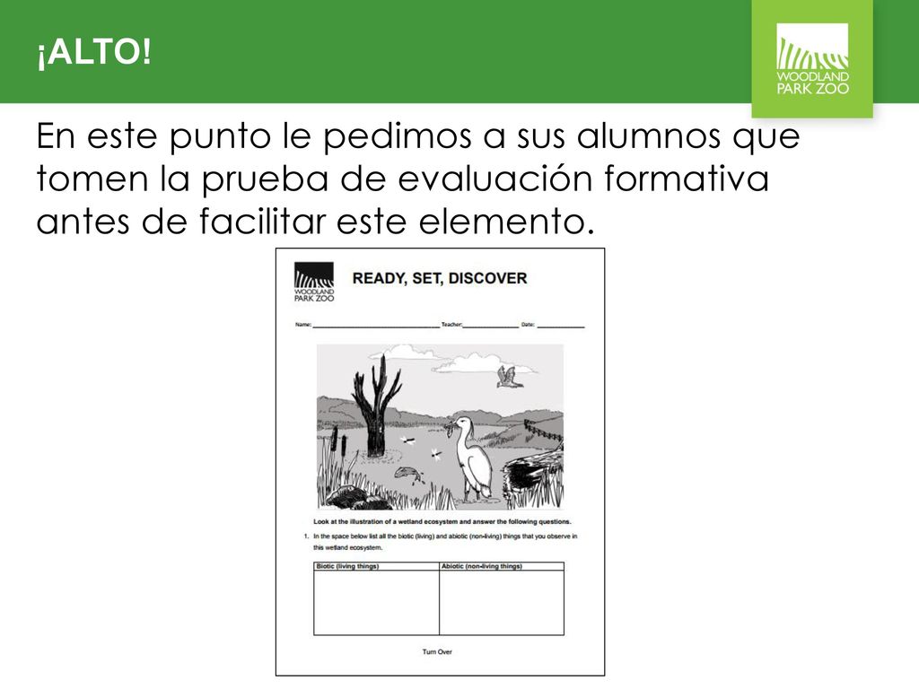 ¡ALTO! En este punto le pedimos a sus alumnos que tomen la prueba de evaluación formativa antes de facilitar este elemento.