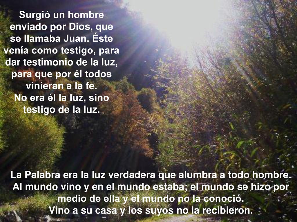 No era él la luz, sino testigo de la luz.