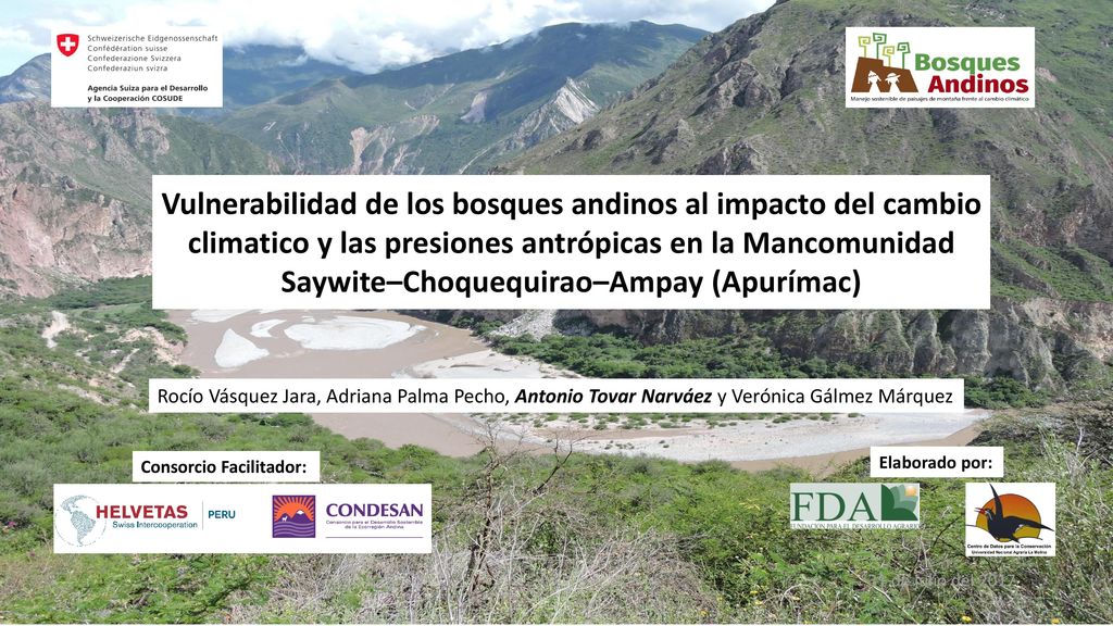 Vulnerabilidad de los bosques andinos al impacto del cambio climatico y las presiones antrópicas en la Mancomunidad Saywite–Choquequirao–Ampay (Apurímac)