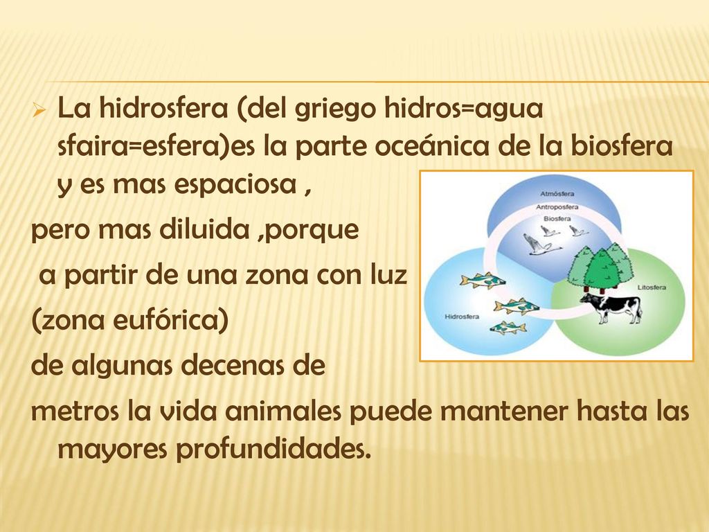 La hidrosfera (del griego hidros=agua sfaira=esfera)es la parte oceánica de la biosfera y es mas espaciosa ,
