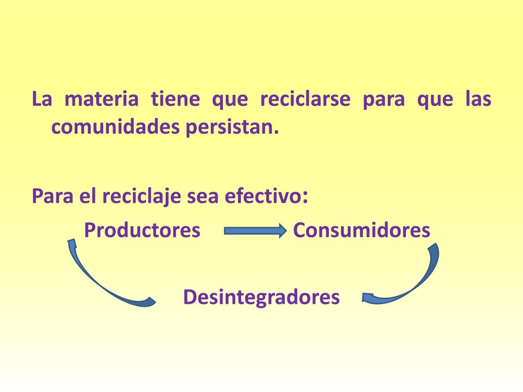 La materia tiene que reciclarse para que las comunidades persistan