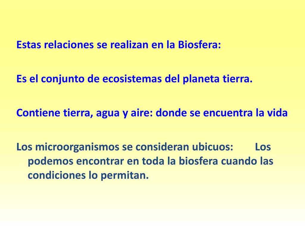 Estas relaciones se realizan en la Biosfera: Es el conjunto de ecosistemas del planeta tierra.