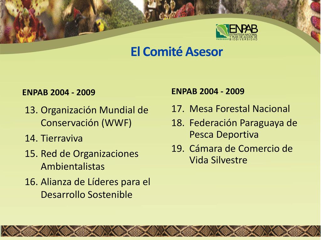 El Comité Asesor Organización Mundial de Conservación (WWF) Tierraviva