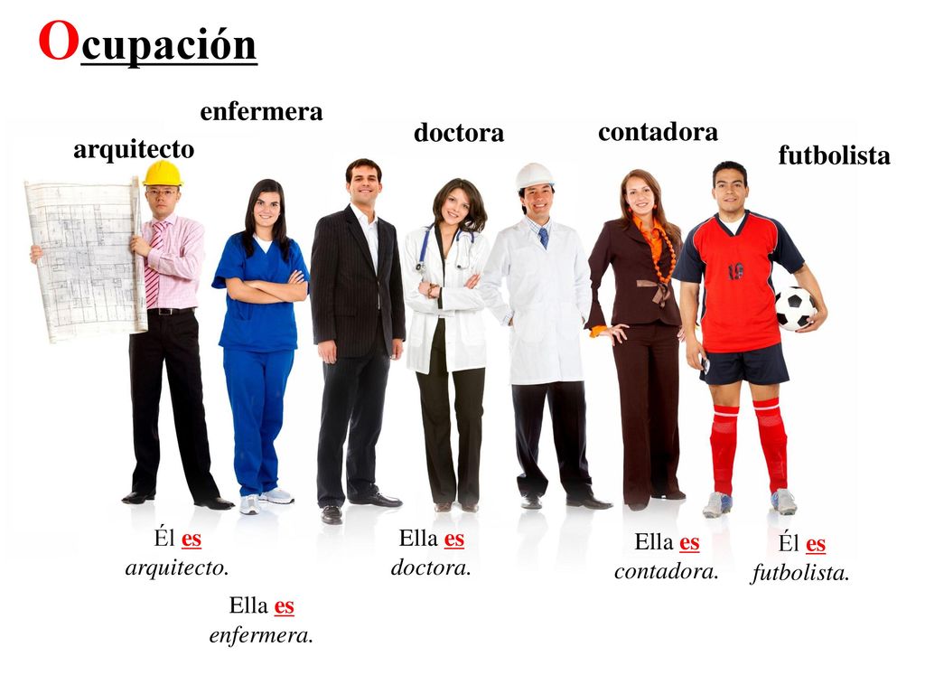 Ocupación enfermera doctora contadora arquitecto futbolista