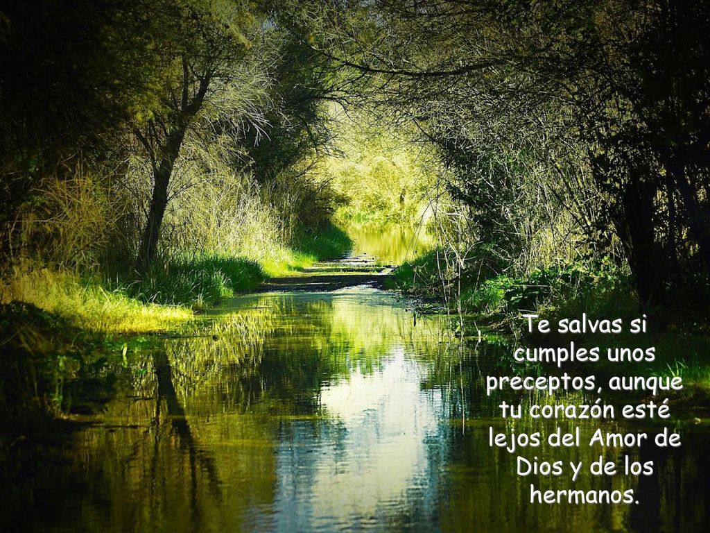 Te salvas si cumples unos preceptos, aunque tu corazón esté lejos del Amor de Dios y de los hermanos.