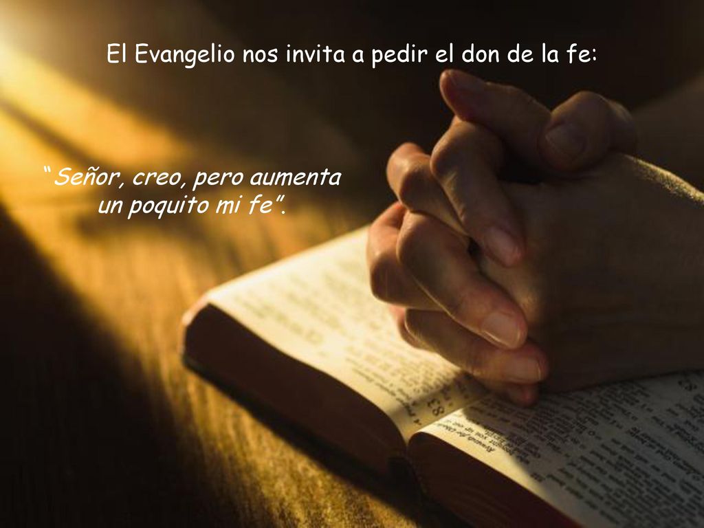 El Evangelio nos invita a pedir el don de la fe: