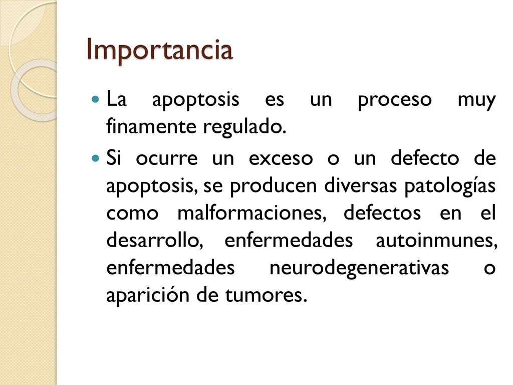 Importancia La apoptosis es un proceso muy finamente regulado.