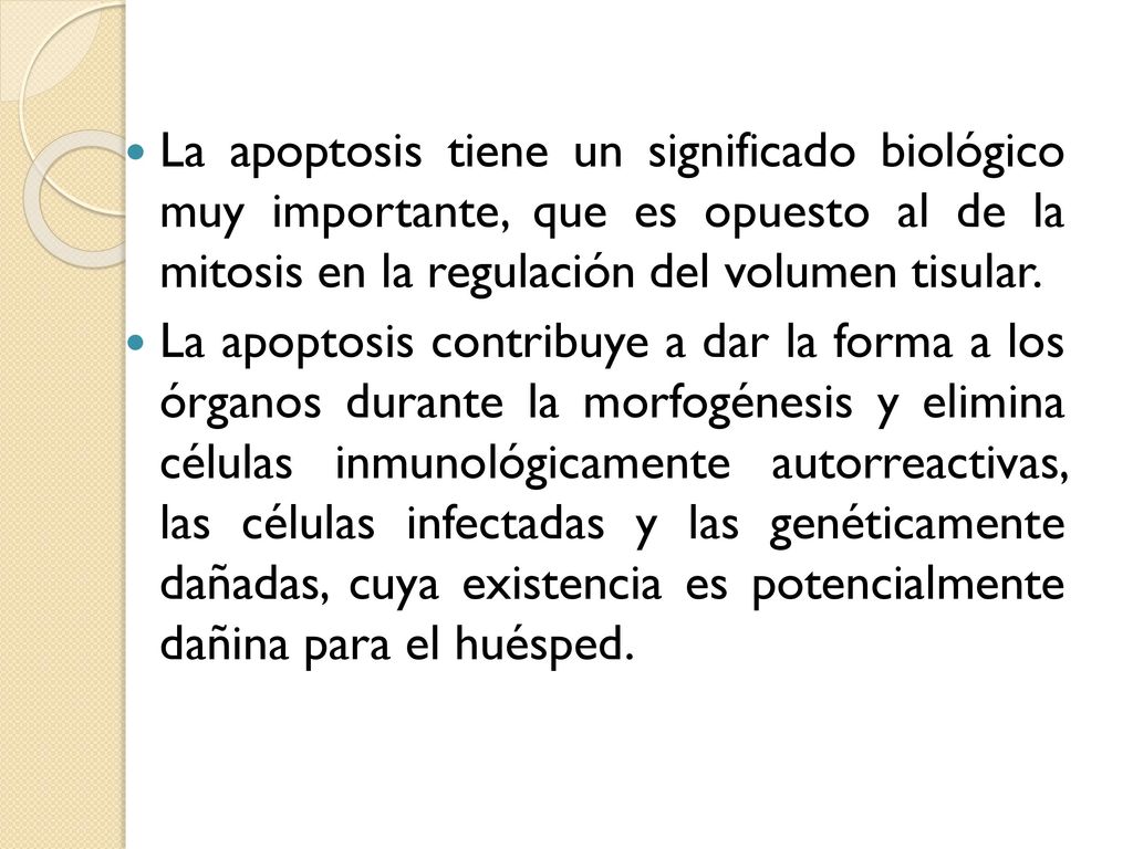 La apoptosis tiene un significado biológico muy importante, que es opuesto al de la mitosis en la regulación del volumen tisular.