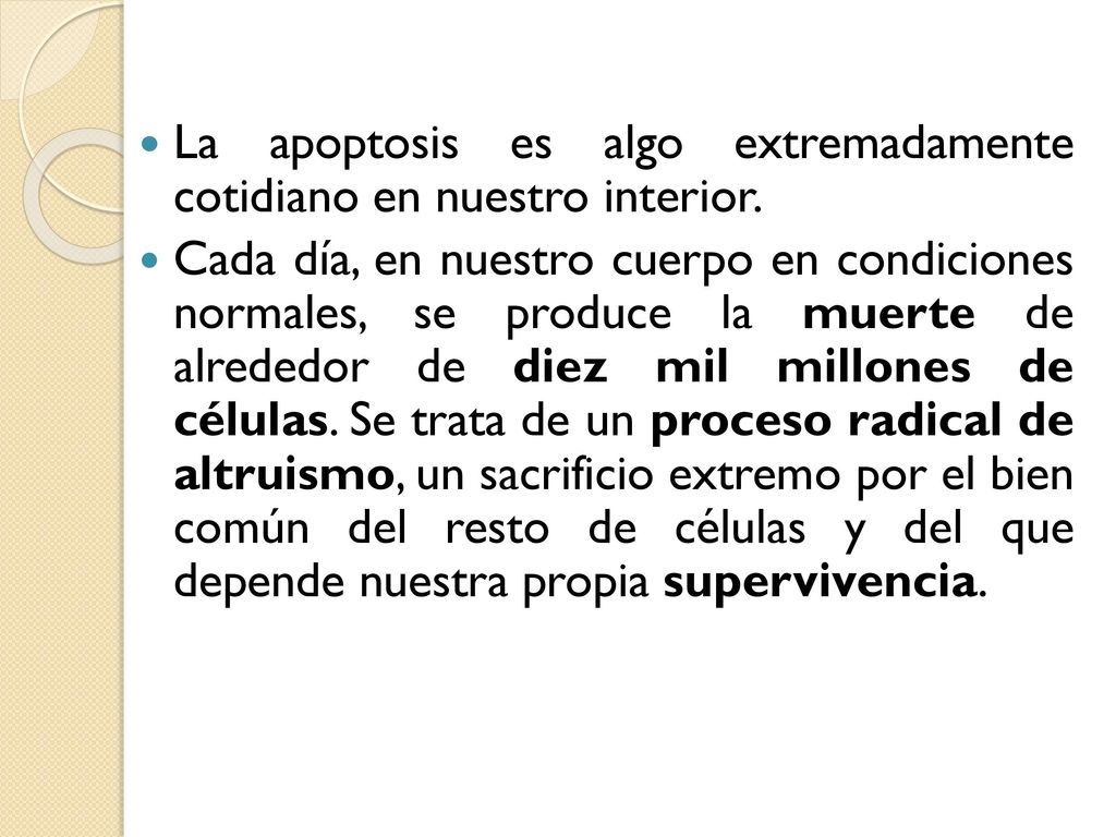 La apoptosis es algo extremadamente cotidiano en nuestro interior.