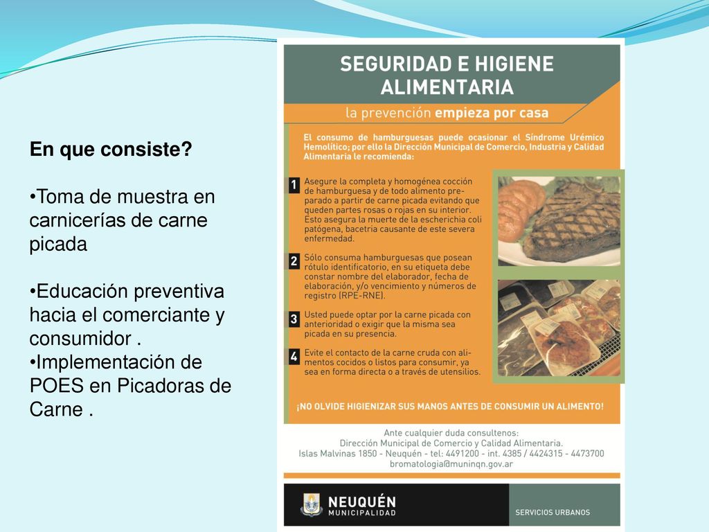 En que consiste Toma de muestra en carnicerías de carne picada. Educación preventiva hacia el comerciante y consumidor .