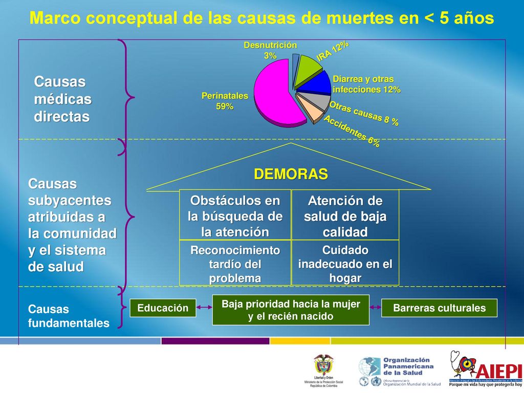 Marco conceptual de las causas de muertes en < 5 años