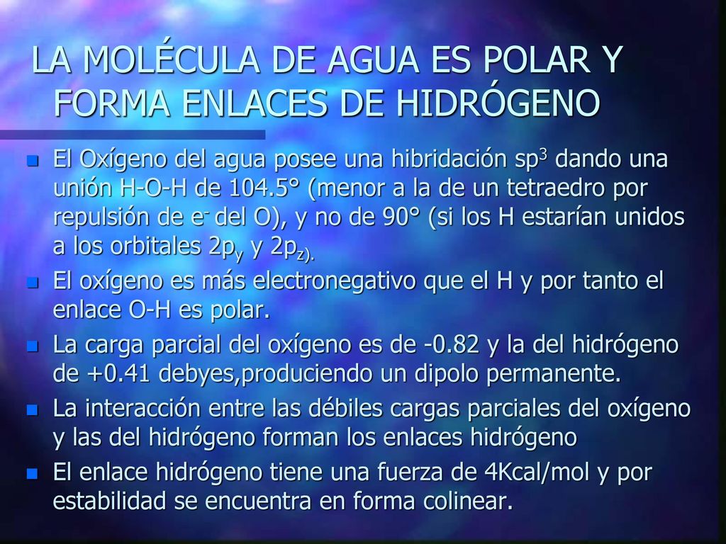 LA MOLÉCULA DE AGUA ES POLAR Y FORMA ENLACES DE HIDRÓGENO