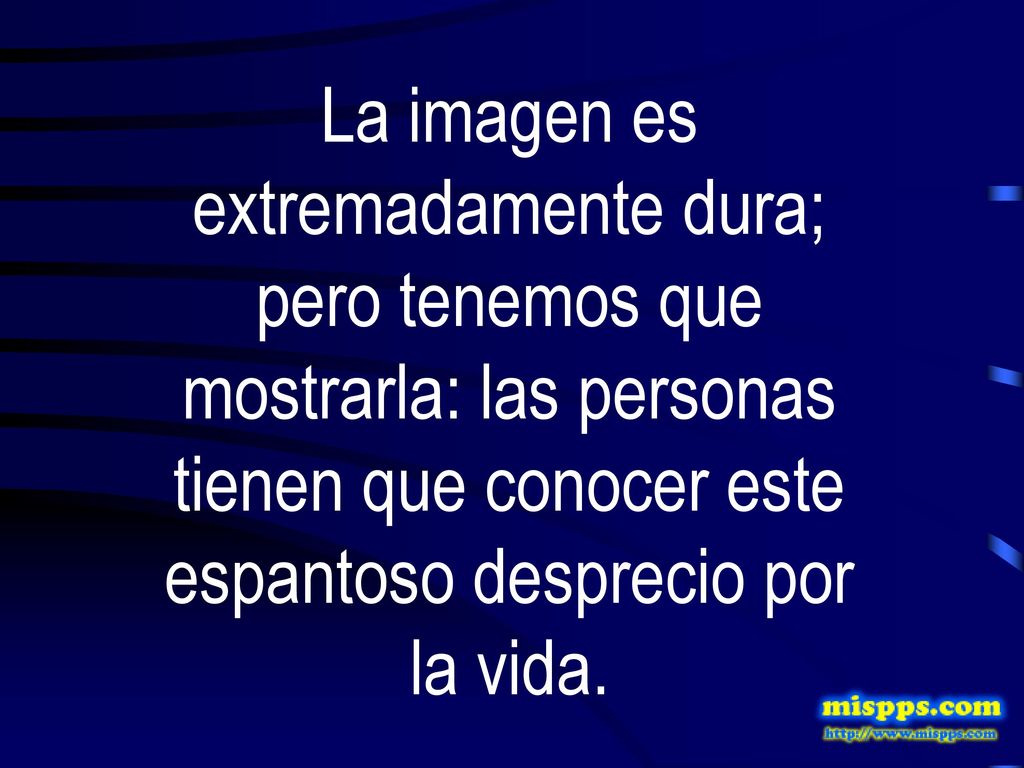 La imagen es extremadamente dura; pero tenemos que mostrarla: las personas tienen que conocer este espantoso desprecio por