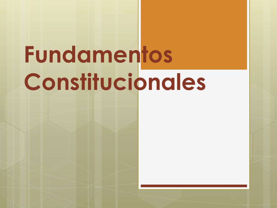 Fundamentos Constitucionales