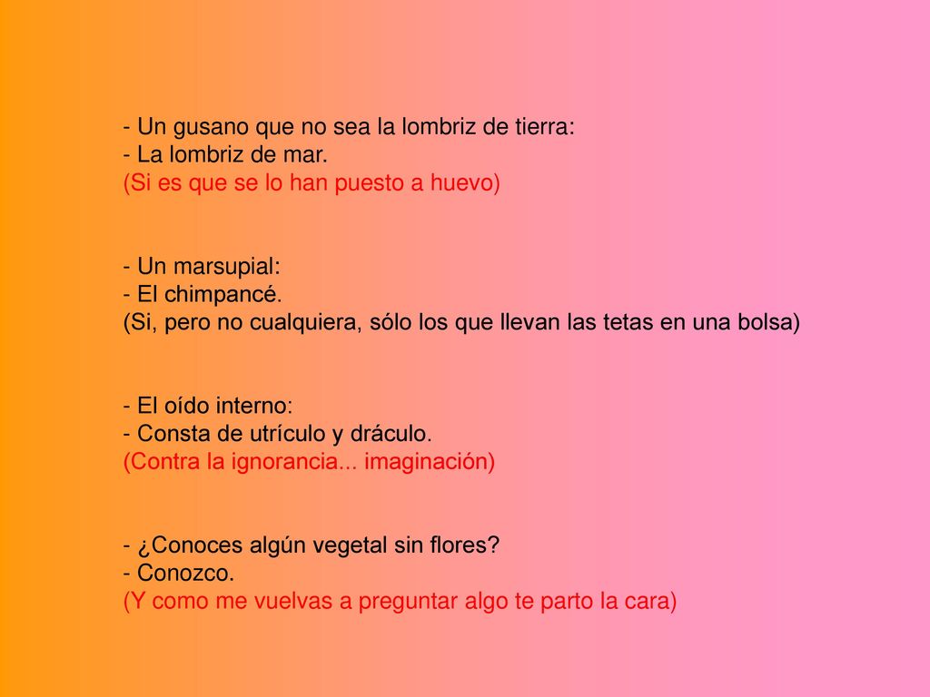 - Un gusano que no sea la lombriz de tierra: