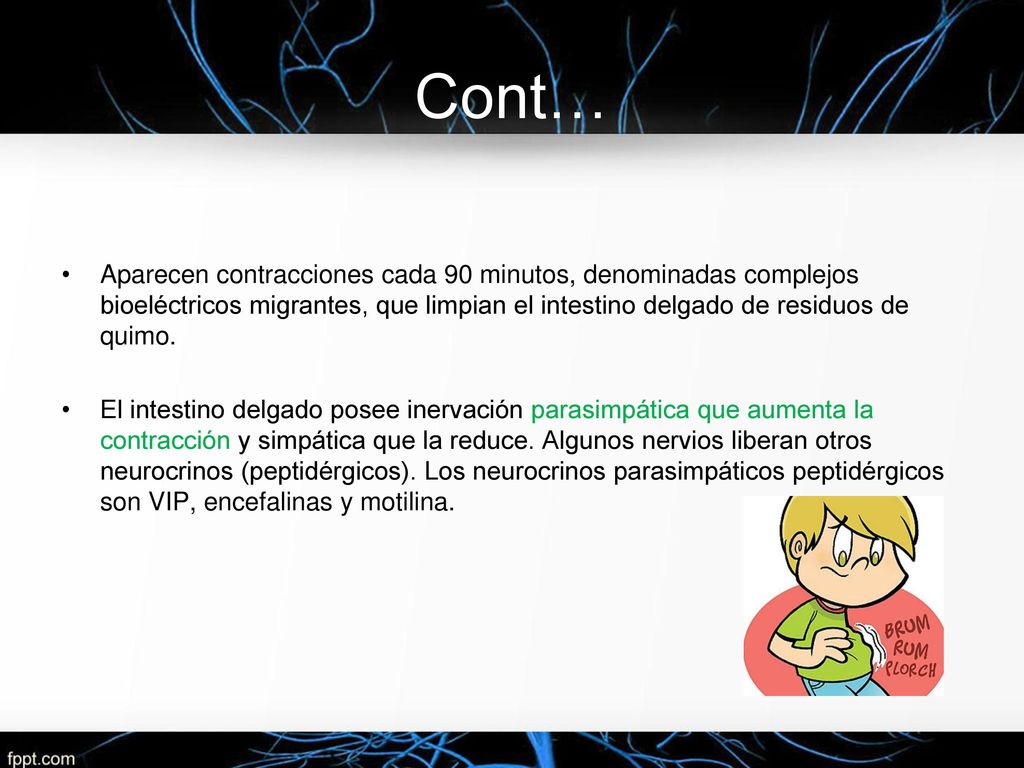 Cont… Aparecen contracciones cada 90 minutos, denominadas complejos bioeléctricos migrantes, que limpian el intestino delgado de residuos de quimo.
