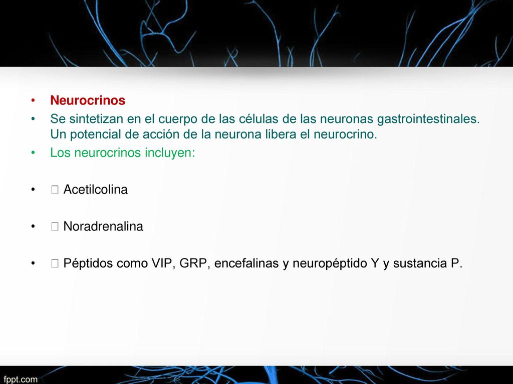 Neurocrinos Se sintetizan en el cuerpo de las células de las neuronas gastrointestinales. Un potencial de acción de la neurona libera el neurocrino.