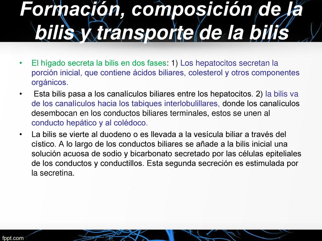 Formación, composición de la bilis y transporte de la bilis