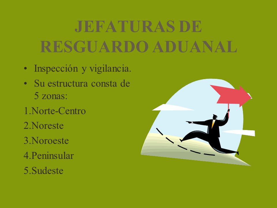 JEFATURAS DE RESGUARDO ADUANAL