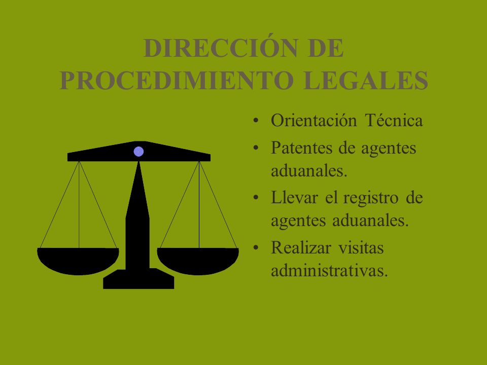 DIRECCIÓN DE PROCEDIMIENTO LEGALES