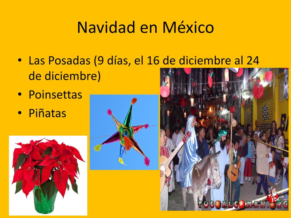 Navidad en México Las Posadas (9 días, el 16 de diciembre al 24 de diciembre) Poinsettas Piñatas