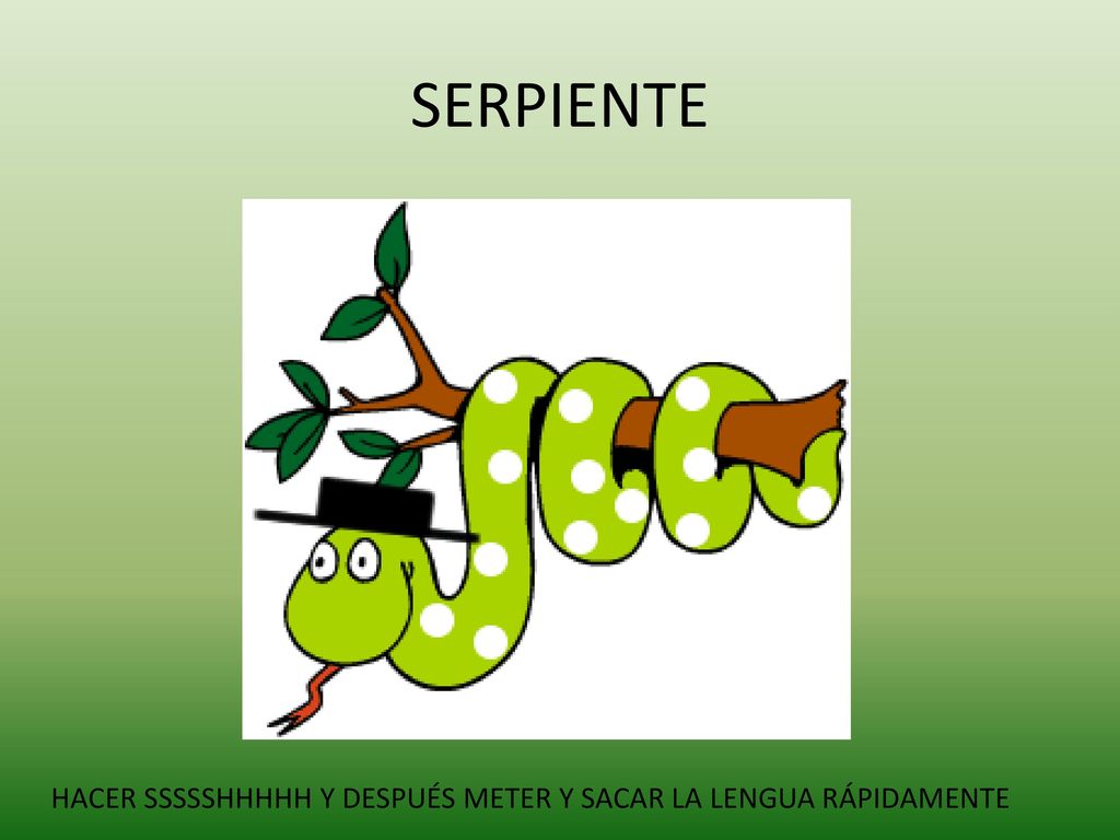 SERPIENTE HACER SSSSSHHHHH Y DESPUÉS METER Y SACAR LA LENGUA RÁPIDAMENTE