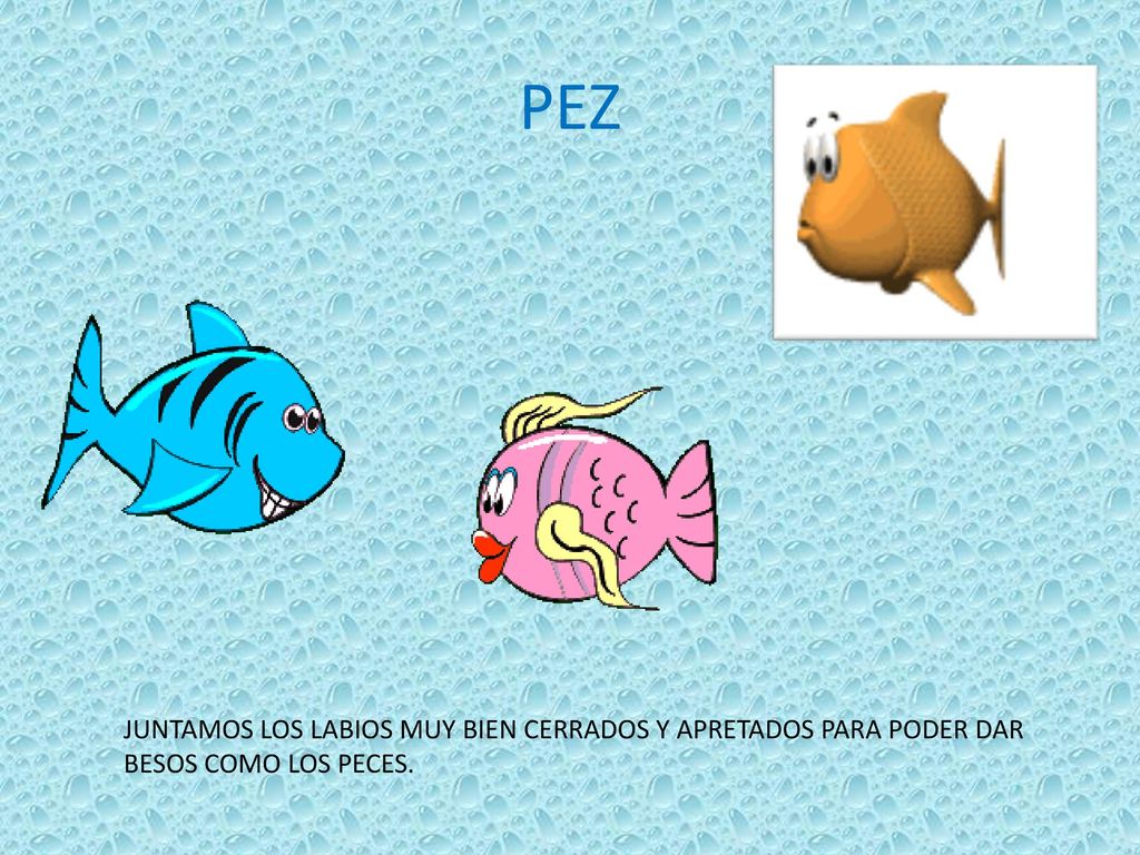 PEZ JUNTAMOS LOS LABIOS MUY BIEN CERRADOS Y APRETADOS PARA PODER DAR BESOS COMO LOS PECES.