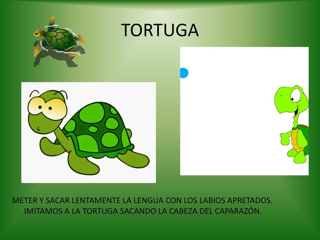 TORTUGA METER Y SACAR LENTAMENTE LA LENGUA CON LOS LABIOS APRETADOS.