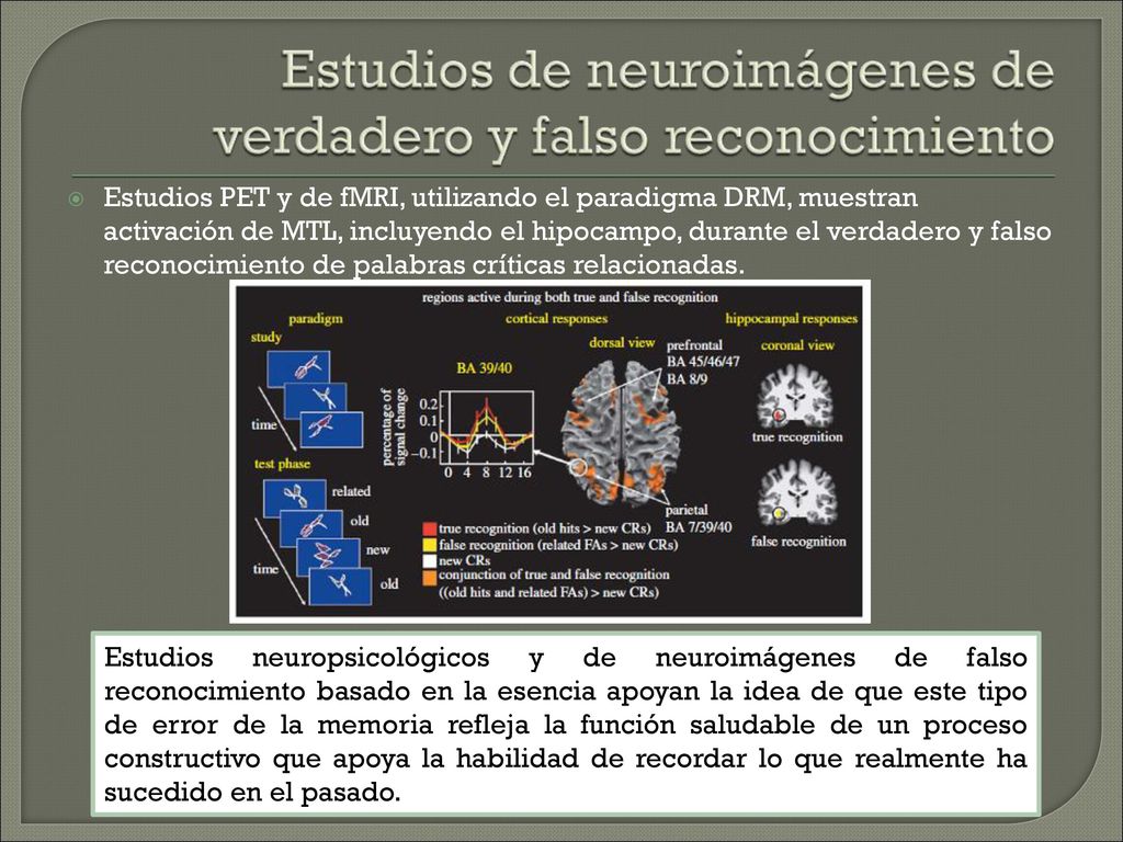 Estudios PET y de fMRI, utilizando el paradigma DRM, muestran activación de MTL, incluyendo el hipocampo, durante el verdadero y falso reconocimiento de palabras críticas relacionadas.