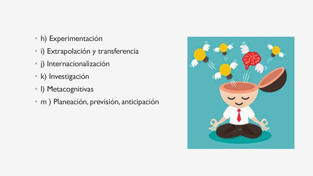 h) Experimentación i) Extrapolación y transferencia. j) Internacionalización. k) Investigación. l) Metacognitivas.