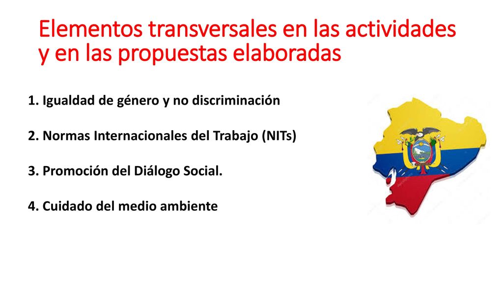Elementos transversales en las actividades y en las propuestas elaboradas