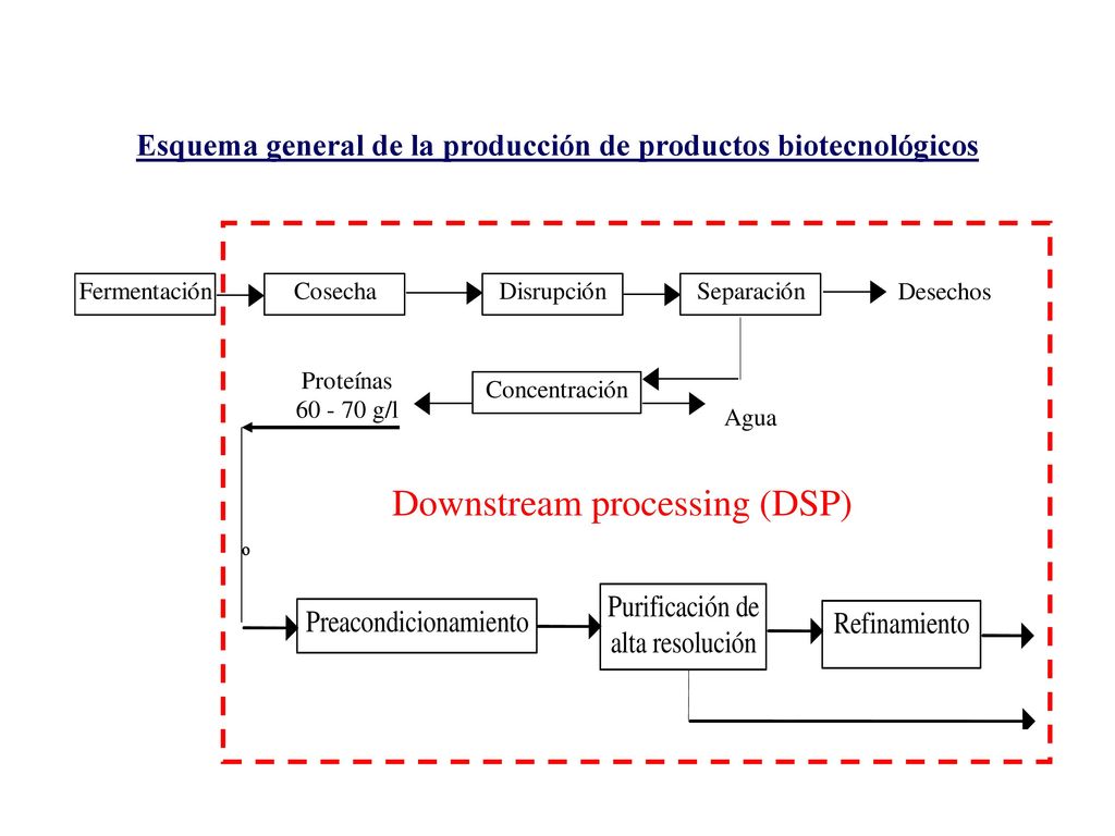 Esquema general de la producción de productos biotecnológicos