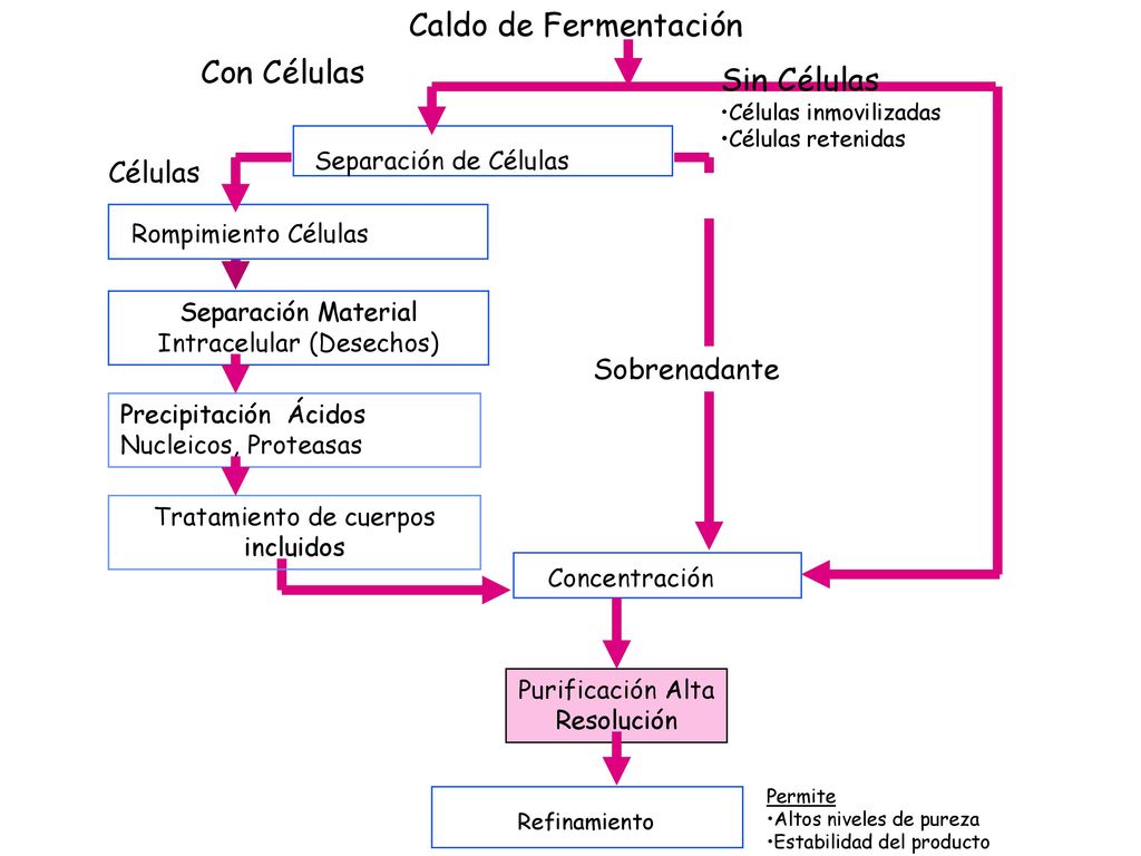 Caldo de Fermentación Con Células Sin Células Separación de Células