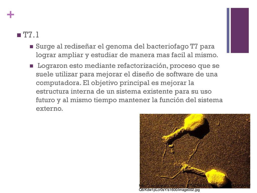 T7.1 Surge al rediseñar el genoma del bacteriofago T7 para lograr ampliar y estudiar de manera mas facil al mismo.