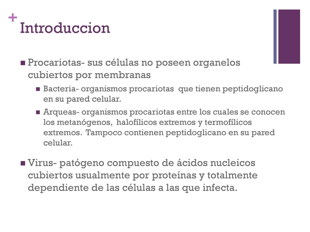 Introduccion Procariotas- sus células no poseen organelos cubiertos por membranas.