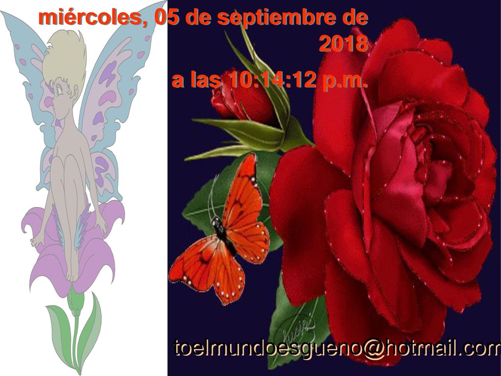miércoles, 05 de septiembre de 2018miércoles, 05 de septiembre de 2018