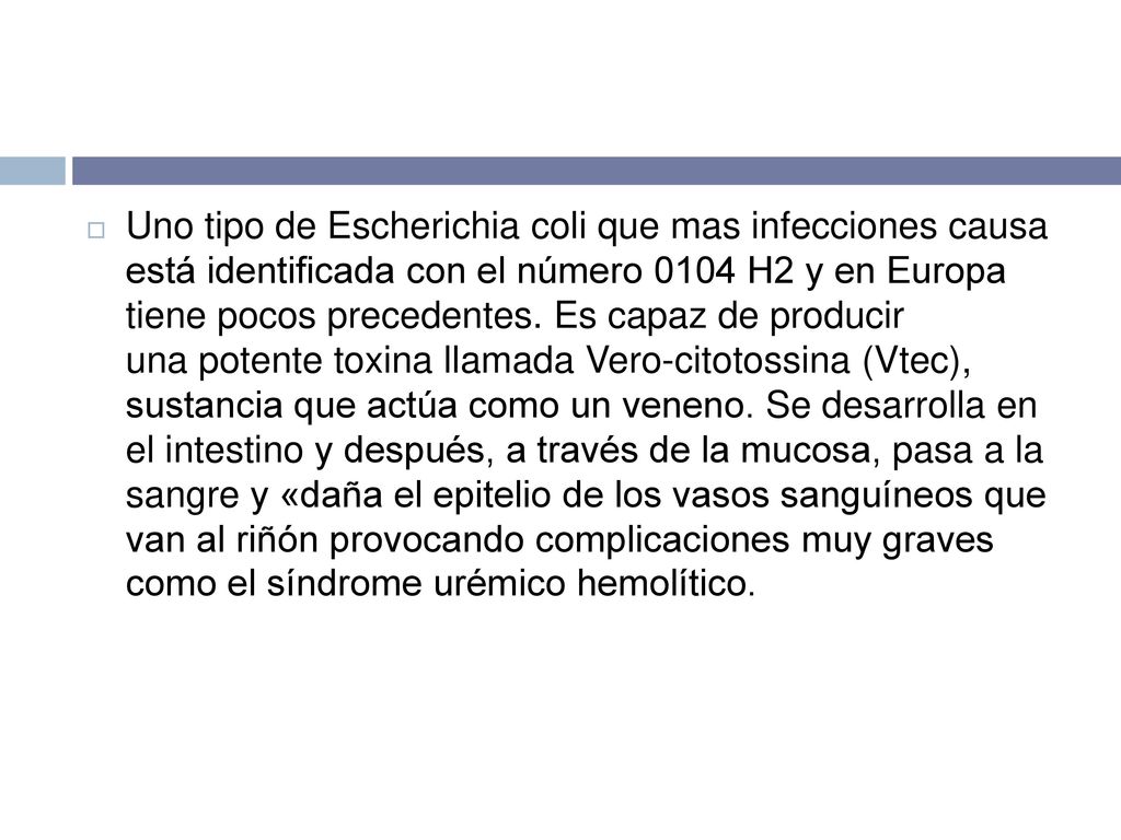 Uno tipo de Escherichia coli que mas infecciones causa está identificada con el número 0104 H2 y en Europa tiene pocos precedentes.
