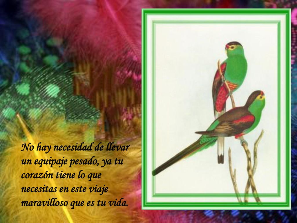 No hay necesidad de llevar un equipaje pesado, ya tu corazón tiene lo que necesitas en este viaje maravilloso que es tu vida.