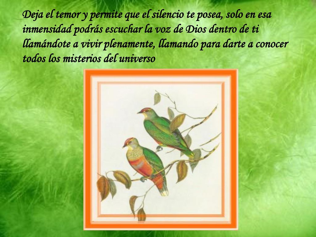Deja el temor y permite que el silencio te posea, solo en esa inmensidad podrás escuchar la voz de Dios dentro de ti llamándote a vivir plenamente, llamando para darte a conocer todos los misterios del universo