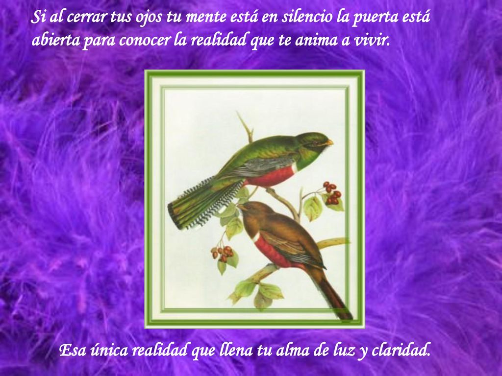 Si al cerrar tus ojos tu mente está en silencio la puerta está abierta para conocer la realidad que te anima a vivir.