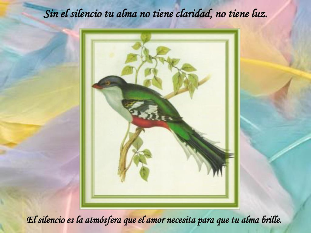 Sin el silencio tu alma no tiene claridad, no tiene luz.