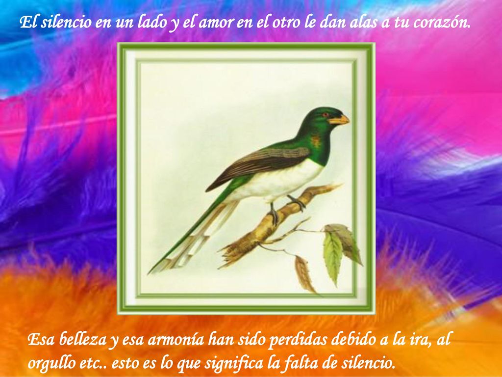 El silencio en un lado y el amor en el otro le dan alas a tu corazón.