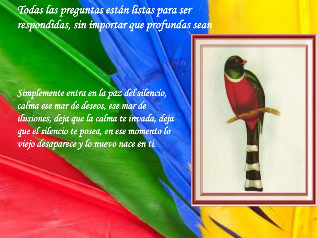 Todas las preguntas están listas para ser