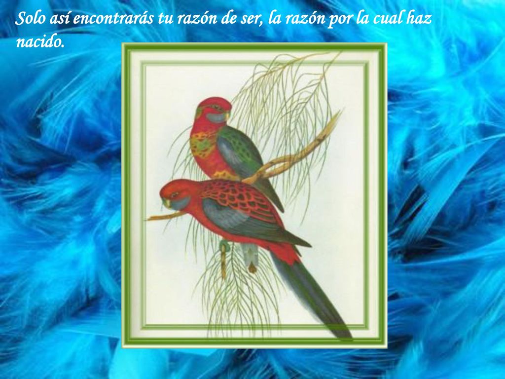 Solo así encontrarás tu razón de ser, la razón por la cual haz nacido.