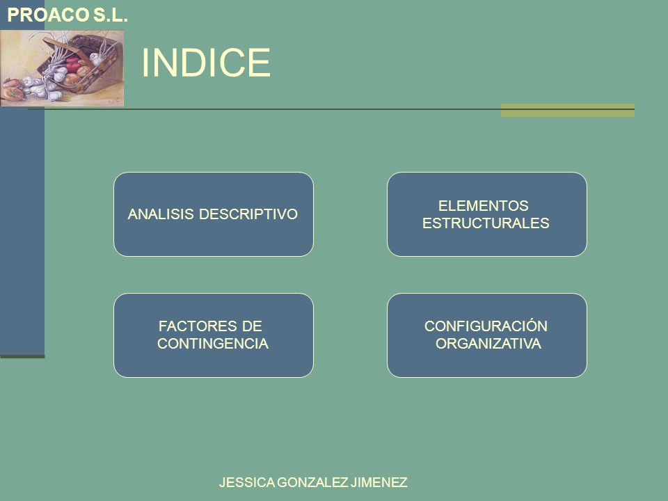 INDICE PROACO S.L. ANALISIS DESCRIPTIVO ELEMENTOS ESTRUCTURALES