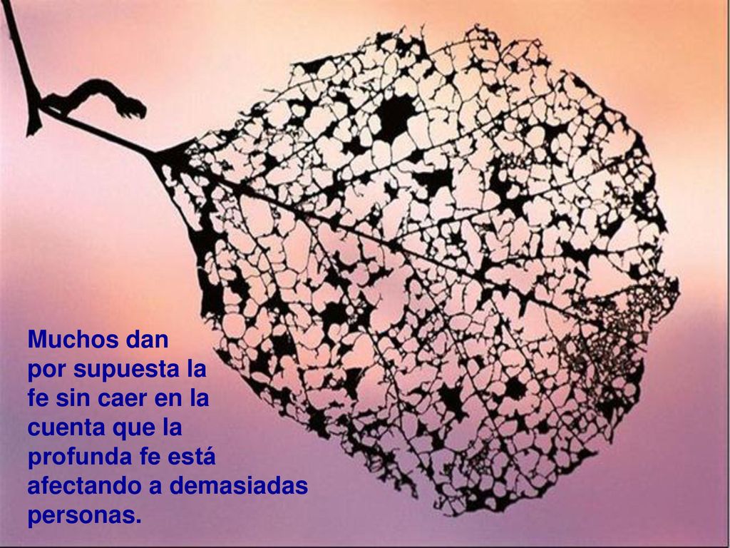 Muchos dan por supuesta la. fe sin caer en la. cuenta que la.