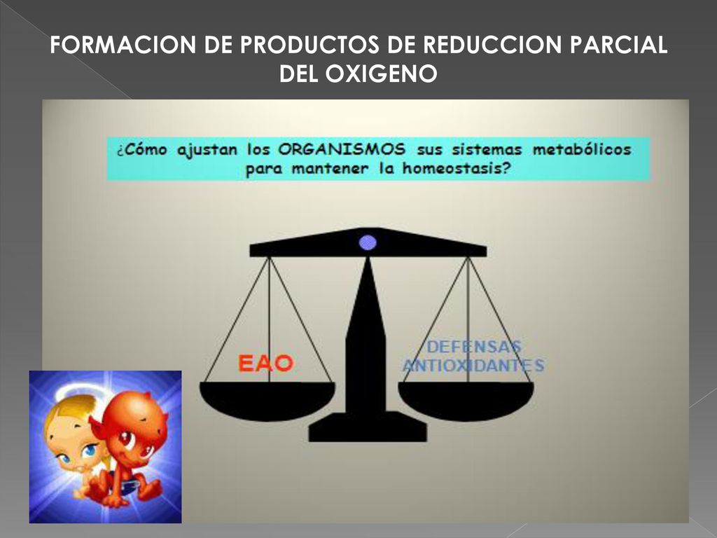 FORMACION DE PRODUCTOS DE REDUCCION PARCIAL DEL OXIGENO