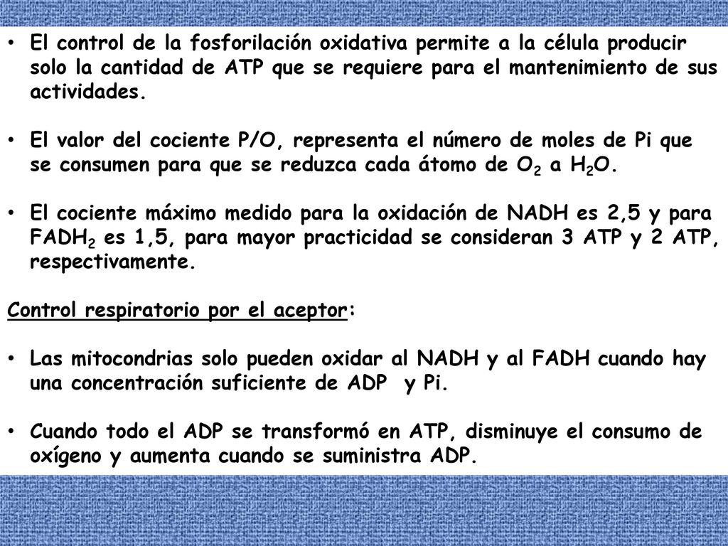 El control de la fosforilación oxidativa permite a la célula producir solo la cantidad de ATP que se requiere para el mantenimiento de sus actividades.