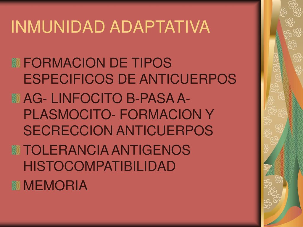 INMUNIDAD ADAPTATIVA FORMACION DE TIPOS ESPECIFICOS DE ANTICUERPOS